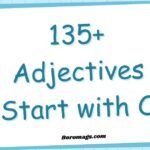 adjectives-start-with-o