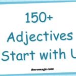 150+ Adjectives Start with U-English Learning adjectives-start-with-u