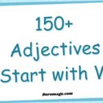 150+ Adjectives Start with W-English Learning adjectives-start-with-w