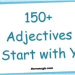 150+ Adjectives Start with Y-English Learning adjectives-start-with-y